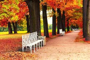 Fototapetă vlies bancă albă în parc 375 x 250 cm