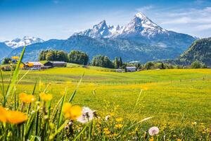 Fototapetă vlies vale alpină 375 x 250 cm