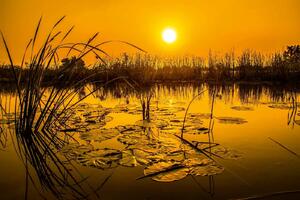Fototapetă vlies lac în thailanda 375 x 250 cm