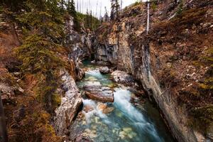Fototapetă vlies râul kootenay 375 x 250 cm