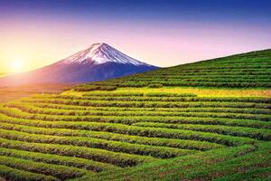 Fototapetă vlies fuji, japonia 375 x 250 cm