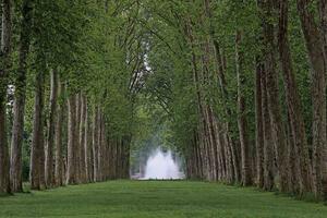 Fototapetă vlies parcul versailles 375 x 250 cm