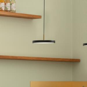 UMAGE Asteria MicroV2 lampă susp. dimabilă negru