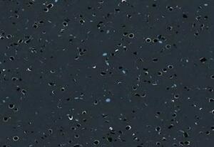 Gerflor Covor pvc, 2mm, mipolam elegance el 5, 0273 anthracite, gerflor