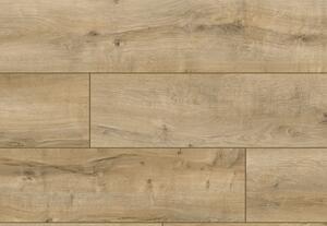 Classen Parchet laminat, 8mm, arteo 8xl wr, connemara oak, classen