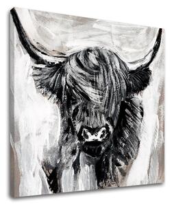 Tablou canvas BULL 001 - 40x40 cm