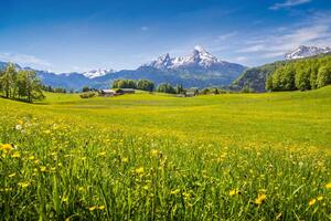 Fototapetă vlies vedere idilică a alpilor 375 x 250 cm