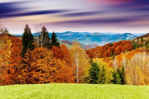 Fototapetă vlies apus de soare maiestuos 375 x 250 cm