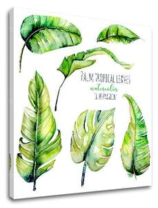 Tablou de perete cu text Palm frunze tropicale - 30x30 cm