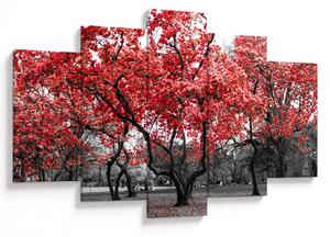 Tablou - Copacii roșii, Central Park, New York (150x105 cm)