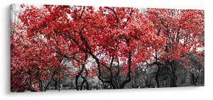 Tablou - Copacii roșii, Central Park, New York (120x50 cm)