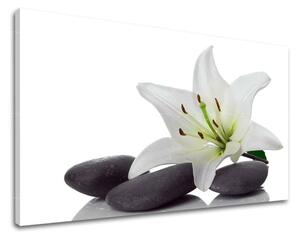 Tablou de perete FENG SHUI - 20x30 cm