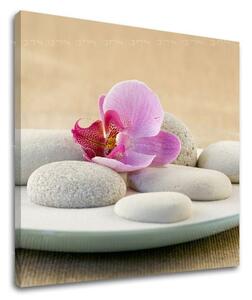 Tablou de perete FENG SHUI - 30x30 cm