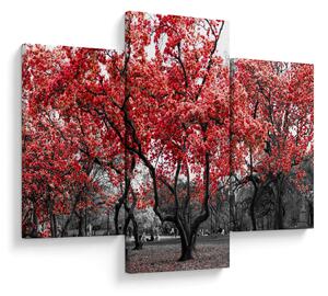 Tablou - Copacii roșii, Central Park, New York (90x60 cm)