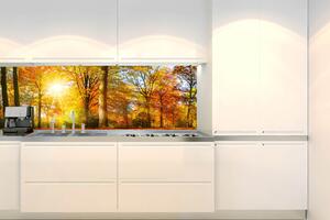 Fototapet pentru bucătărie - pădure colorată de toamnă 180 x 60 cm