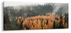 Tablou - Pădure toamna (120x50 cm)