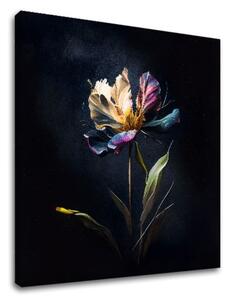 Design decorare pe panza Floare misterioasă la noapte - 50x50 cm