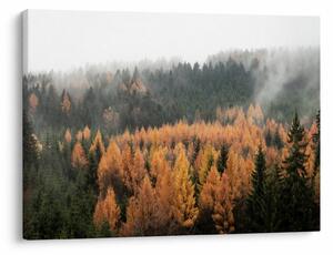 Tablou - Pădure toamna (70x50 cm)