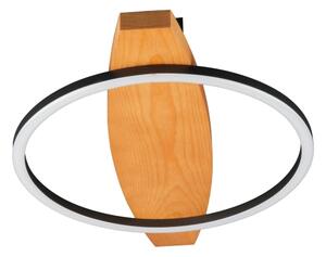 Plafonieră LED MELISA, 12 W, 230 V, 30 x 40 cm, pin
