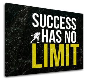 Tablou de perete motivațional despre succes_009 - 20x30 cm
