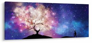 Tablou - Raborele spațial (120x50 cm)