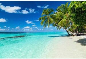 Fototapetă vlies tropical paradis 375 x 250 cm