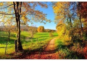 Fototapetă vlies pajiște 375 x 250 cm