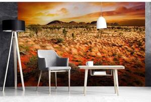 Fototapetă vlies australia 375 x 250 cm