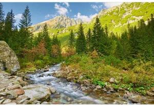 Fototapetă vlies vale 375 x 250 cm