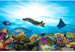 Fototapetă vlies pești în ocean 375 x 250 cm