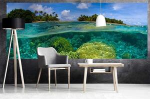 Fototapet panoramic vlies cu recif de corali 375 x 150 cm