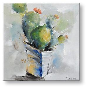 Tablou canvas KAKTUS 1 parte - 50x50 cm