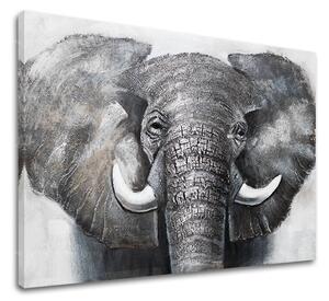 Tablou canvas SLON 1 parte XOBCHAN021 - 100x70 cm