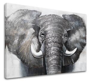 Tablou canvas SLON 1 parte XOBCHAN021 - 70x50 cm