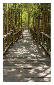 Fototapetă vlies pădure de mangrove 150 x 250 cm