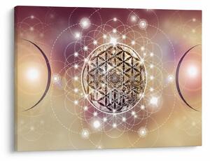 Tablou - Mandala cu elemente (70x50 cm)