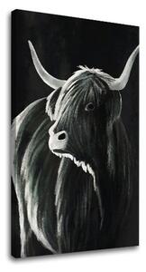 Tablou canvas BULL 002 - 40x60 cm