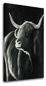 Tablou canvas BULL 002 - 40x60 cm