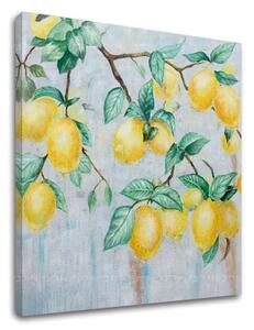 Tablou canvas CITRONS 1 parte - 50x50 cm