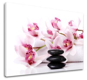 Tablou canvas FENG SHUI_047-11 - 20x30 cm
