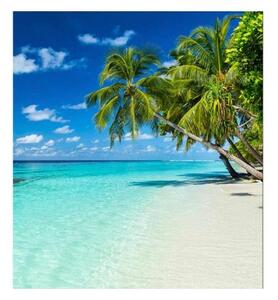 Fototapetă vlies paradis tropical 225 x 250 cm