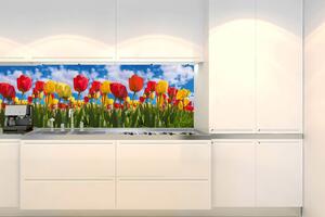 Fototapet pentru bucătărie - lalea câmp 180 x 60 cm