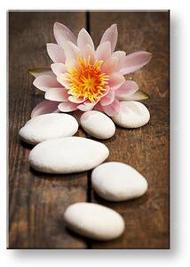 Tablou canvas FENG SHUI_059-11 - 20x30 cm