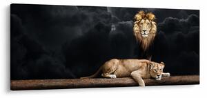 Tablou - Leu și leoaică (120x50 cm)