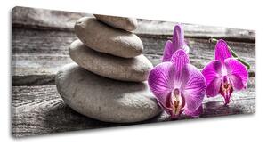 Tablou canvas FENG SHUI_060-13 - 20x60 cm