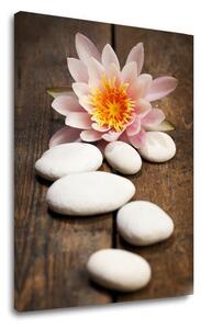 Tablou canvas FENG SHUI_059-11 - 20x30 cm
