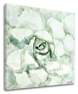 Tablou canvas FLOWER 1 parte - 50x50 cm
