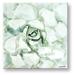 Tablou canvas FLOWER 1 parte - 50x50 cm