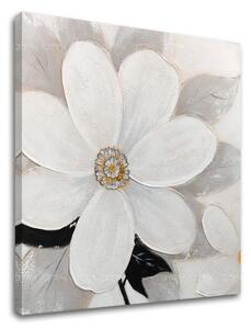 Tablou canvas FLORI 1 parte - 50x50 cm
