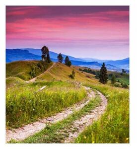 Fototapetă vlies natură cu auroră boreală 225 x 250 cm